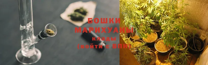 Бошки Шишки SATIVA & INDICA  цена наркотик  Агидель 